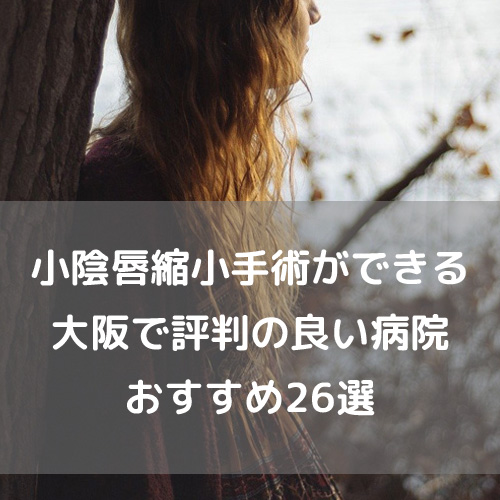 小陰唇縮小手術ができる大阪で評判の良い病院 おすすめ26選 腟ペディア チツペディア