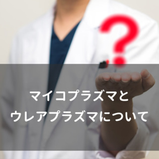 マイコプラズマとウレアプラズマについて