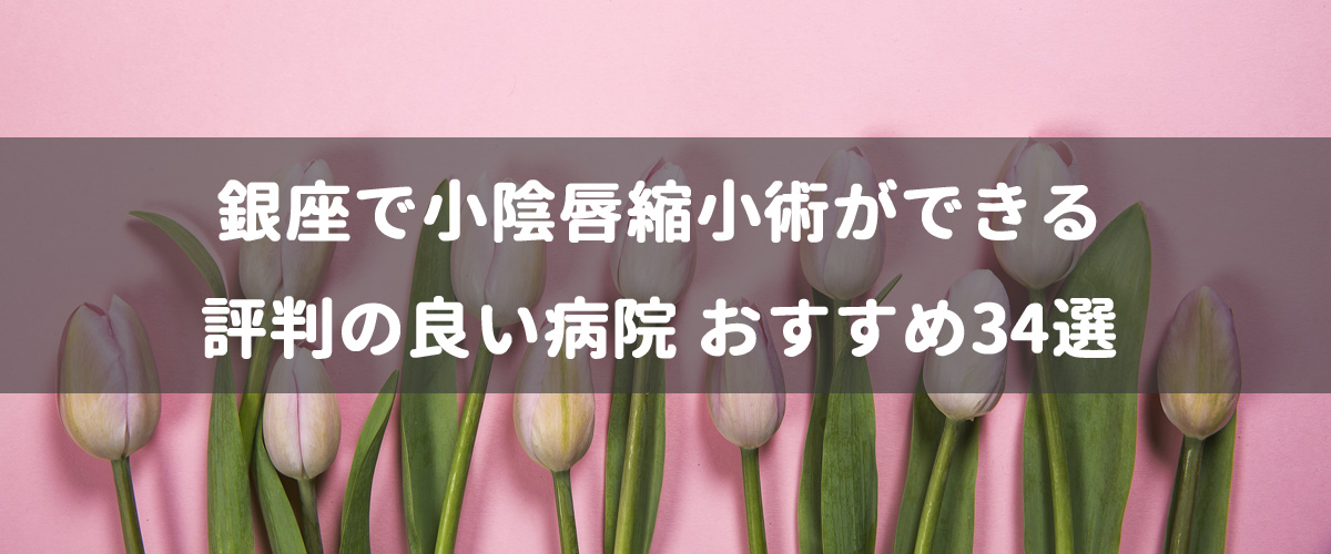 銀座で小陰唇縮小術ができる評判の良い病院 おすすめ34選 銀座で小陰唇縮小術ができる評判の良い病院 おすすめ34選