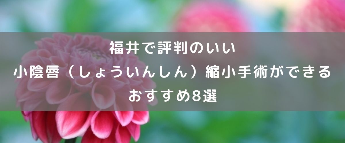 福井県で評判のいい小陰唇 しょういんしん 縮小手術ができる おすすめ8選 腟ペディア チツペディア