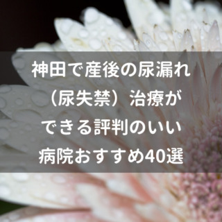 神田で産後の尿漏れ（尿失禁）治療ができる評判のいい病院おすすめ40選