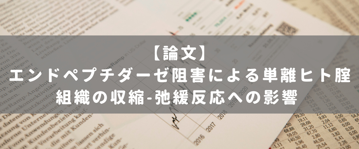 エンドペプチダーゼ阻害による単離ヒト腟組織の収縮-弛緩反応への影響 エンドペプチダーゼ阻害による単離ヒト腟組織の収縮-弛緩反応への影響