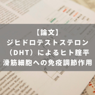 ジヒドロテストステロン（DHT）によるヒト腟平滑筋細胞への免疫調節作用