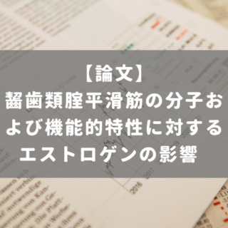 齧歯類腟平滑筋の分子および機能的特性に対するエストロゲンの影響