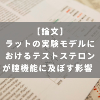 ラットの実験モデルにおけるテストステロンが腟機能に及ぼす影響