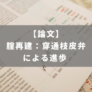 腟再建：穿通枝皮弁による進歩