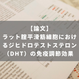 ラット腟平滑筋細胞におけるジヒドロテストステロン（DHT）の免疫調節効果
