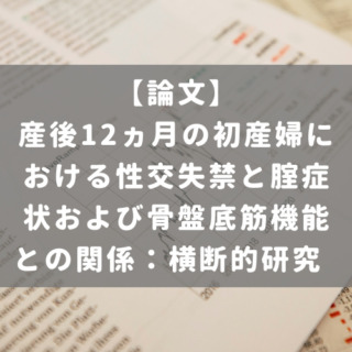 産後12ヵ月の初産婦における性交失禁と腟症状および骨盤底筋機能との関係：横断的研究