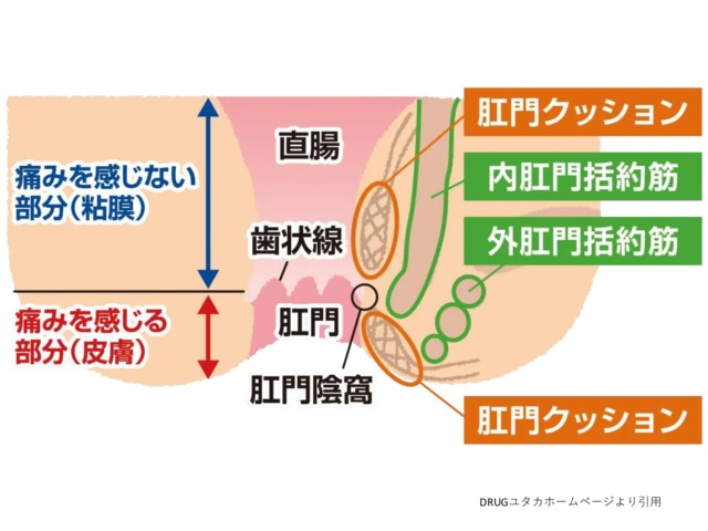 肛門クッション 肛門クッション