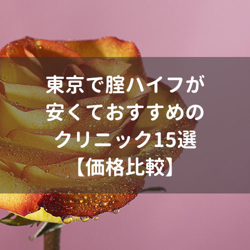 東京で腟ハイフが安くておすすめのクリニック15選【価格比較】 | 腟ペディア（チツペディア）