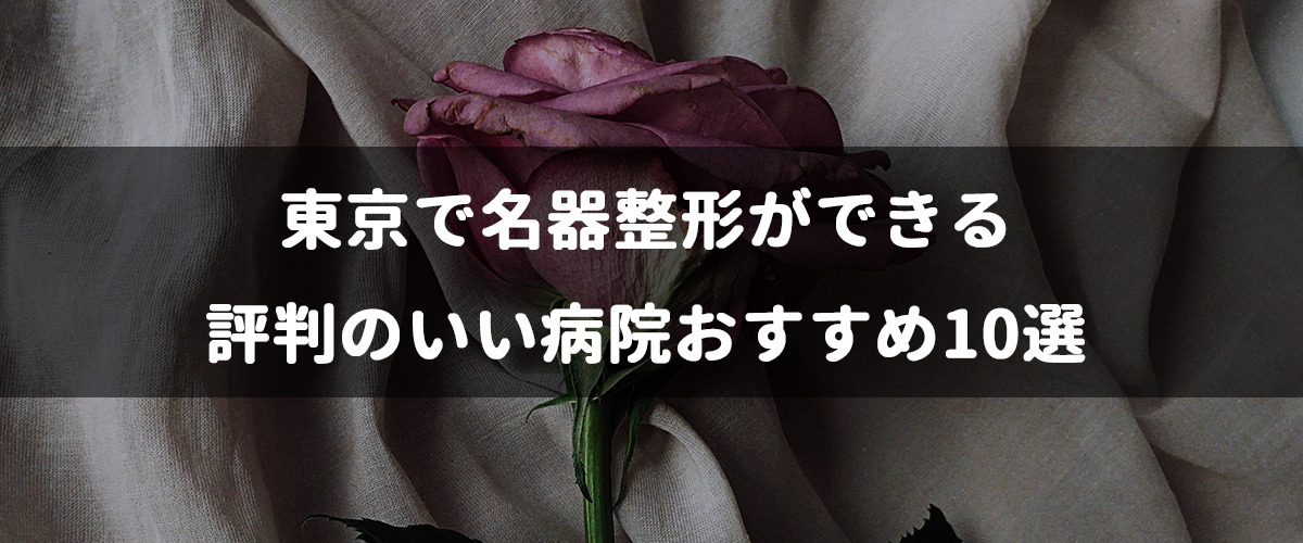 東京で名器整形ができる評判のいい病院おすすめ10選 | 腟ペディア（チツペディア）