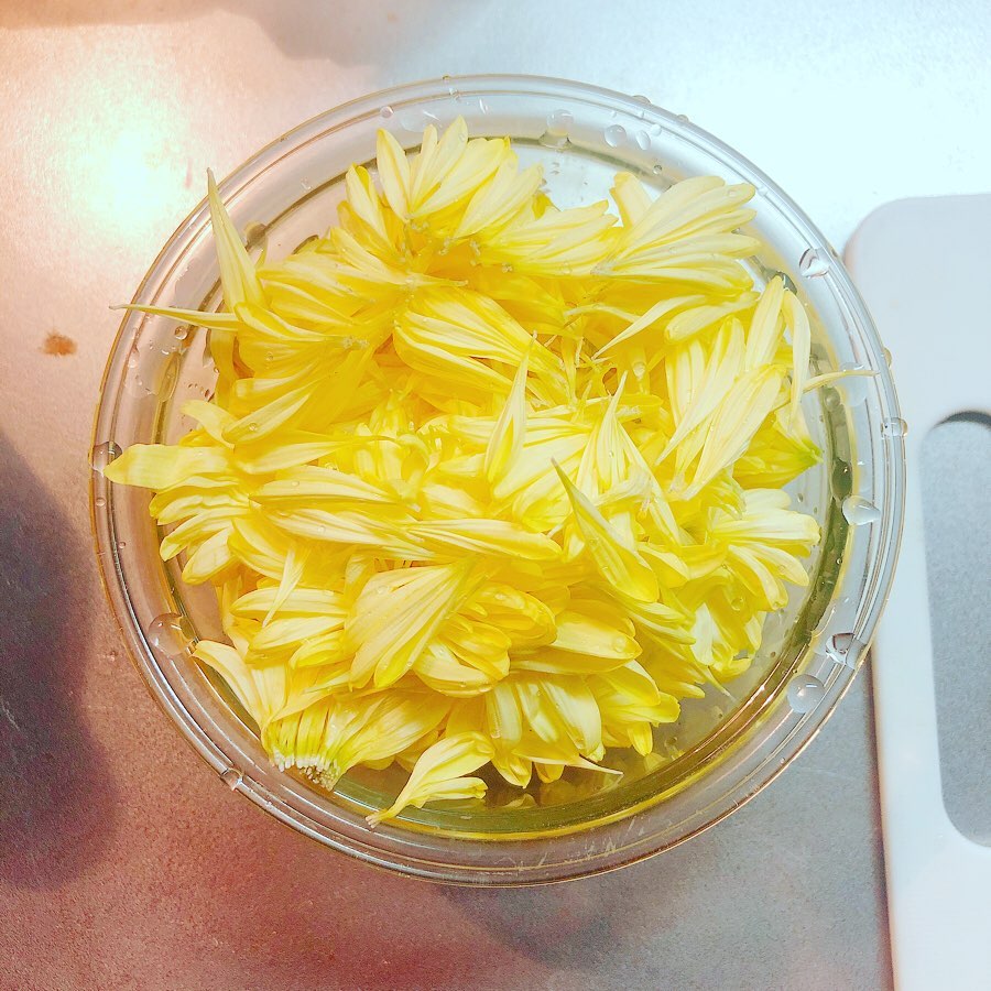 菊の花びら 菊の花びら