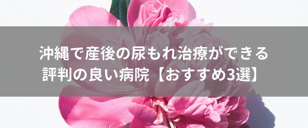 沖縄で産後の尿もれ治療ができる 評判の良い病院【おすすめ3選】 沖縄で産後の尿もれ治療ができる 評判の良い病院【おすすめ3選】