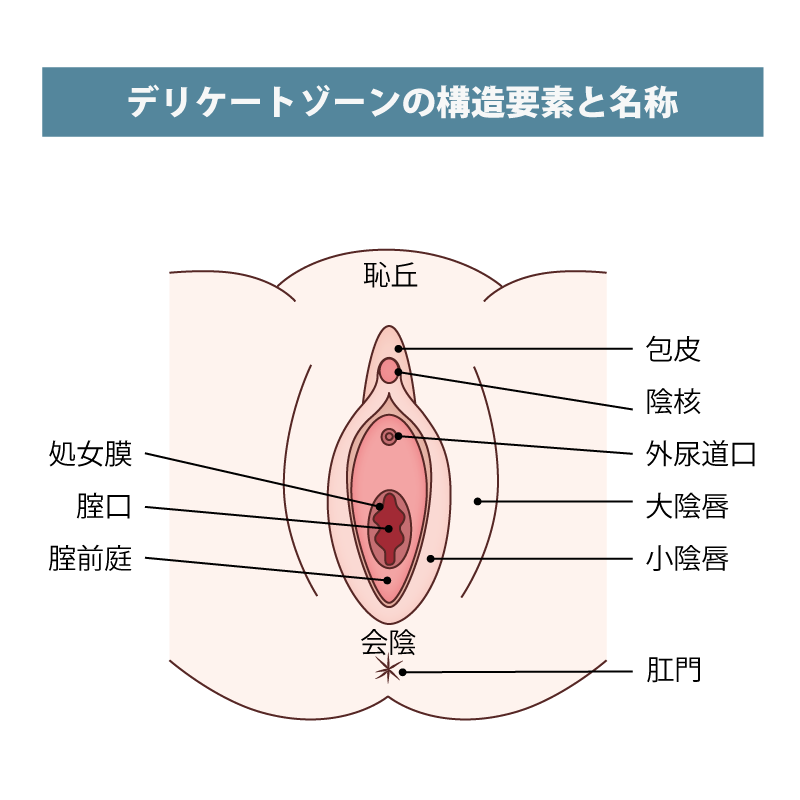 小陰唇縮小術 腟ペディア チツペディア