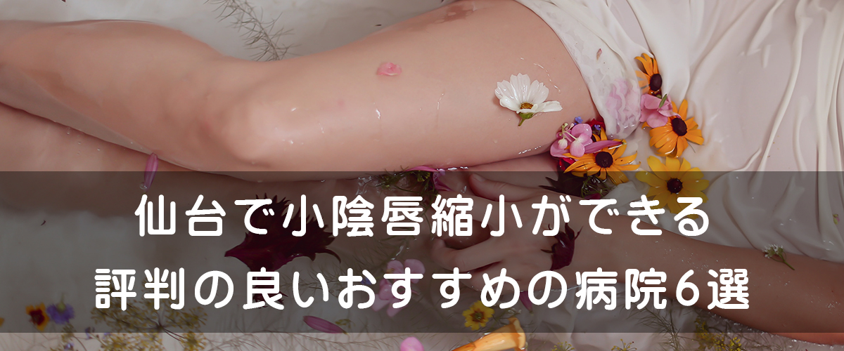 仙台で小陰唇縮小ができる評判の良いおすすめの病院8選