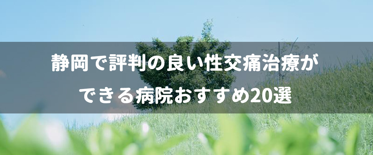静岡で評判の良い性交痛治療ができる病院おすすめ20選