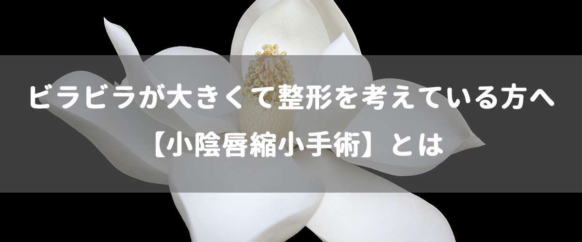 ビラビラが大きくて整形を考えている方へ【小陰唇縮小手術】とは ビラビラが大きくて整形を考えている方へ【小陰唇縮小手術】とは