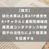 硫化水素は上皮ATP感受性K+チャネルと嚢胞性線維症膜貫通コンダクタンス制御因子の活性化により腟潤滑を促進する