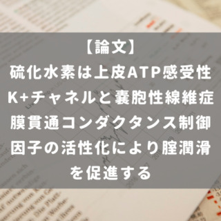 硫化水素は上皮ATP感受性K+チャネルと嚢胞性線維症膜貫通コンダクタンス制御因子の活性化により腟潤滑を促進する