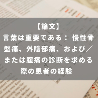 言葉は重要である： 慢性骨盤痛、外陰部痛、および／または腟痛の診断を求める際の患者の経験