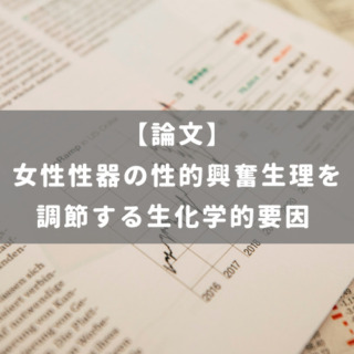 女性性器の性的興奮生理を調節する生化学的要因
