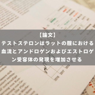 テストステロンはラットの腟における血流とアンドロゲンおよびエストロゲン受容体の発現を増加させる