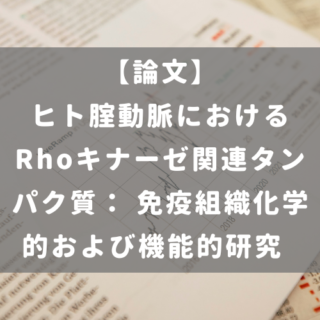 ヒト腟動脈におけるRhoキナーゼ関連タンパク質： 免疫組織化学的および機能的研究