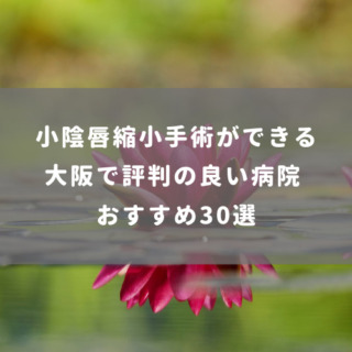 大阪で小陰唇縮小手術ができる評判の良い病院 おすすめ30選