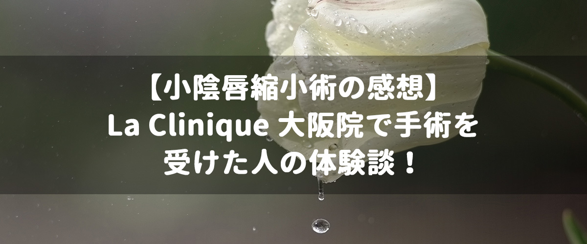 【小陰唇縮小術の感想】La-Clinique-大阪院で手術を受けた人の体験談！