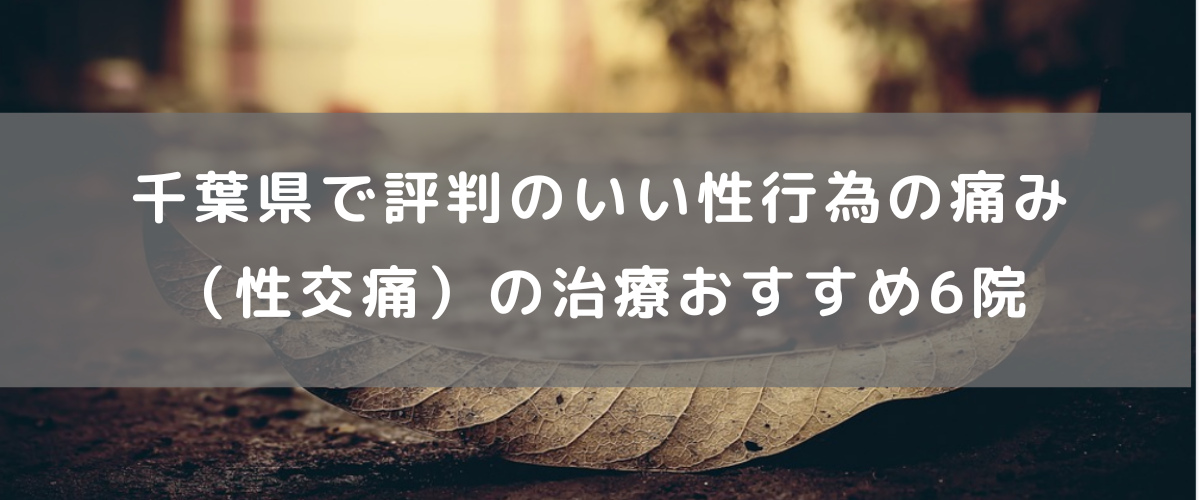 千葉県で評判のいい性行為の痛み(性交痛)の治療 おすすめ6院 千葉県で評判のいい性行為の痛み(性交痛)の治療 おすすめ6院