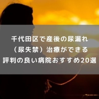 千代田区で産後の尿漏れ（尿失禁）治療が できる評判の良い病院おすすめ20選