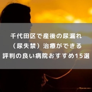 chiyodaku-sangonyomore-15i