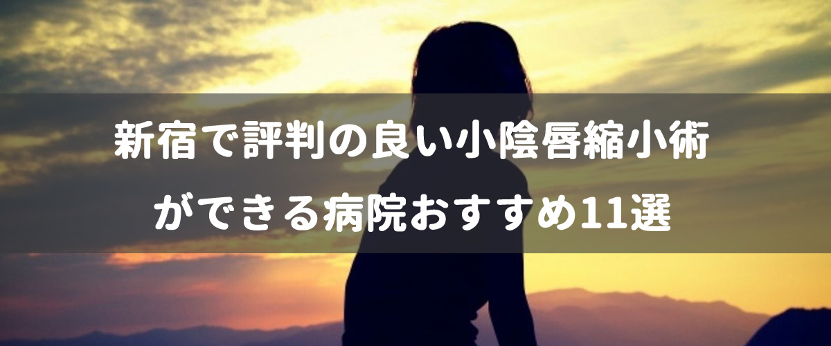 新宿で評判の良い小陰唇縮小術ができる病院おすすめ11選 新宿で評判の良い小陰唇縮小術ができる病院おすすめ11選