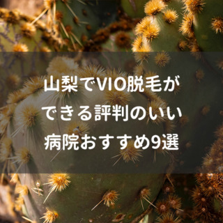 山梨でVIO脱毛ができる評判のいい病院おすすめ9選