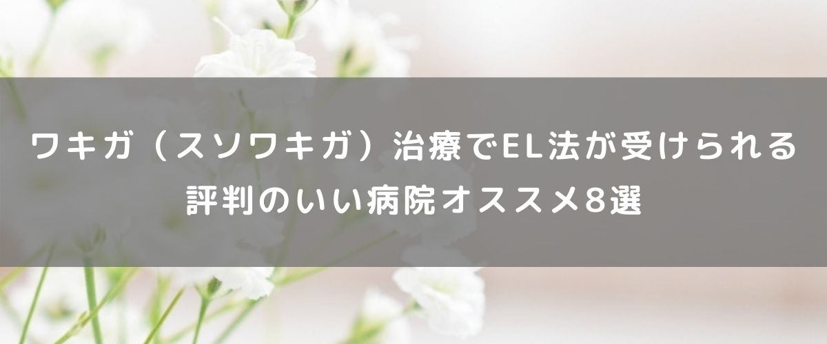 ワキガ(スソワキガ)治療でEL法が受けられる評判のいい病院オススメ8選 ワキガ(スソワキガ)治療でEL法が受けられる評判のいい病院オススメ8選