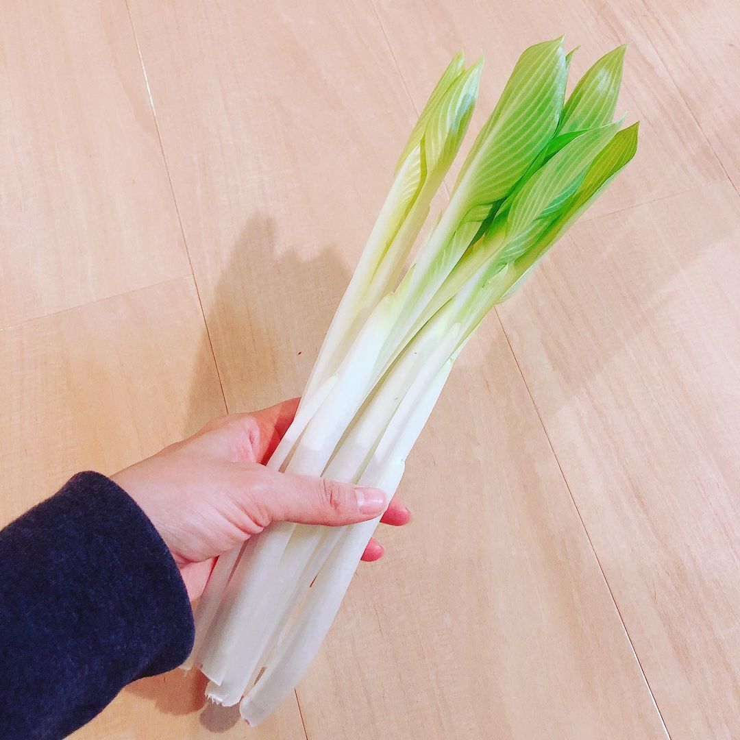 うるい うるい