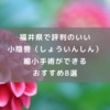 福井県で評判のいい小陰唇縮小手術ができるおすすめ8選