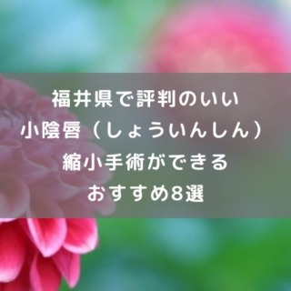 福井県で評判のいい小陰唇（しょういんしん）縮小手術ができる おすすめ8選
