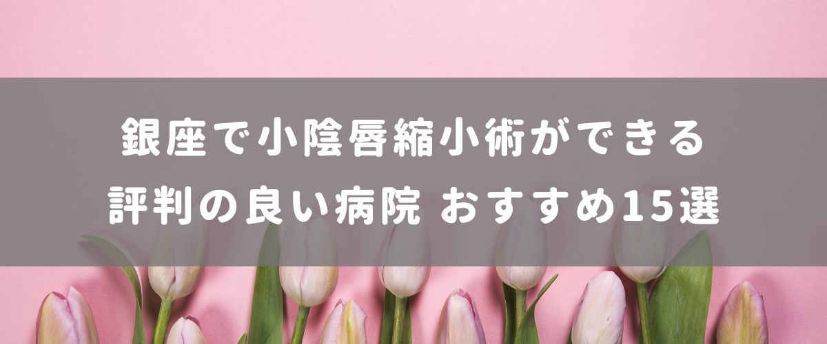 銀座で小陰唇縮小術ができる評判の良い病院 おすすめ15選