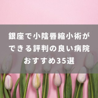 銀座で小陰唇縮小術ができる評判の良い病院 おすすめ35選