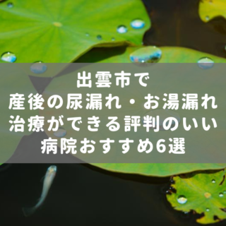 出雲市で産後の尿漏れ・お湯漏れ治療ができる評判のいい病院おすすめ6選