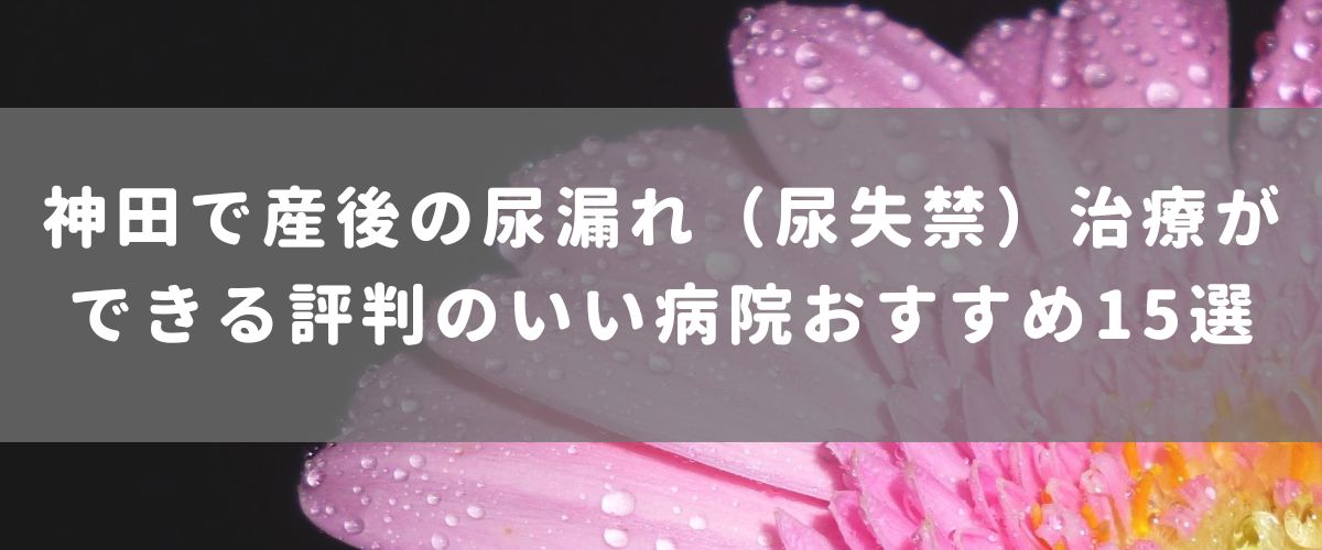 神田で産後の尿漏れ（尿失禁）治療ができる評判のいい病院おすすめ15選