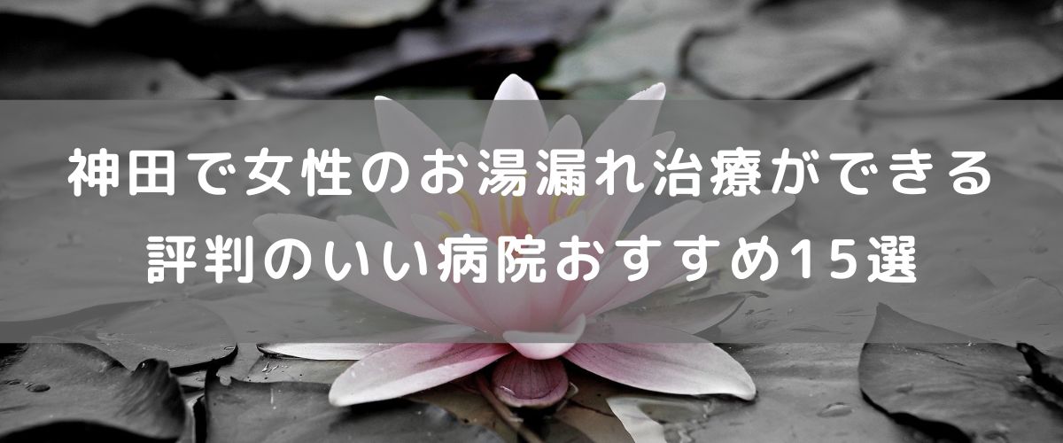 神田で女性のお湯漏れ治療ができる評判の良い病院おすすめ15選