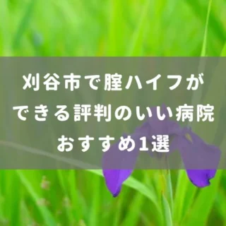 刈谷市で腟ハイフができる評判の良い病院おすすめ1選