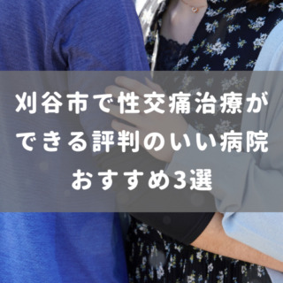 刈谷市で評判の良い性交痛治療ができるおすすめの病院 3選