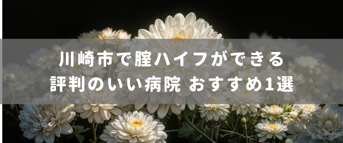 川崎市で腟ハイフができる評判のいい病院 おすすめ1選