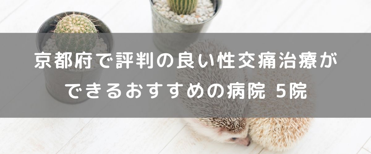 京都府で評判の良い性交痛治療ができるおすすめの病院 5院 京都府で評判の良い性交痛治療ができるおすすめの病院 5院
