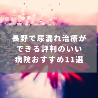 長野で尿漏れ治療ができる評判のいい病院おすすめ11選