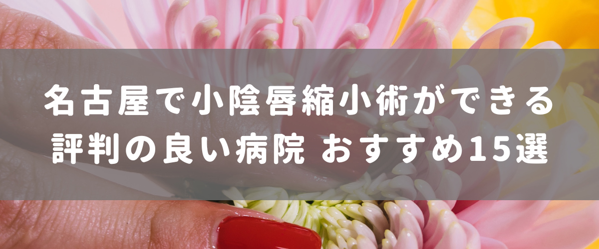 名古屋で小陰唇縮小術ができる評判の良い病院 おすすめ15選