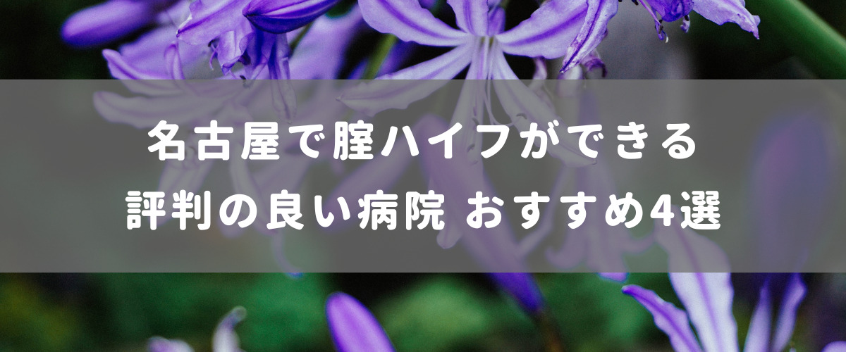 名古屋で腟ハイフができる評判の良い病院 おすすめ4選 名古屋で腟ハイフができる評判の良い病院 おすすめ4選